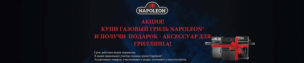 Газовые грили Napoleon в Волгодонске
