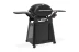 Газовый гриль Weber Q 3200N с тележкой премиум-класса 